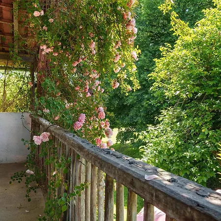 Les Roses D'adour Parc Arbore Nyaraló Mouledous